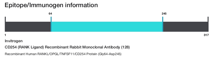 CD254 (RANK Ligand) Recombinant Rabbit Monoclonal Antibody (128)