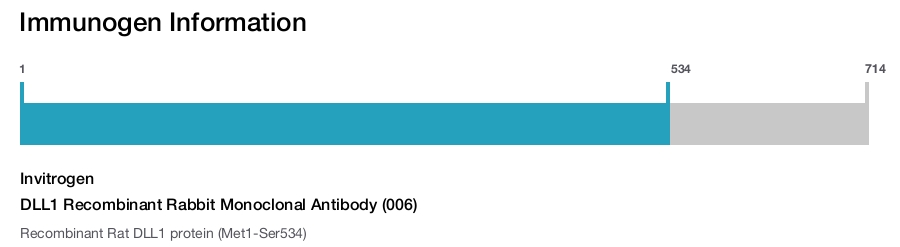 DLL1 Recombinant Rabbit Monoclonal Antibody (006)