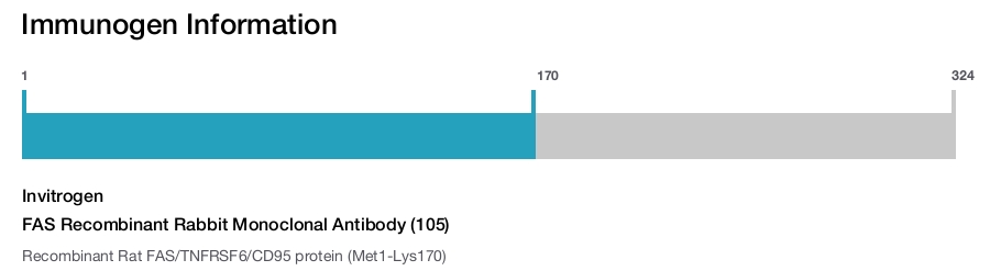 FAS Recombinant Rabbit Monoclonal Antibody (105)