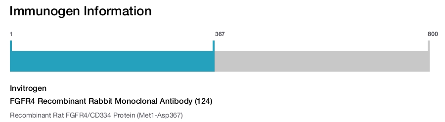 FGFR4 Recombinant Rabbit Monoclonal Antibody (124)