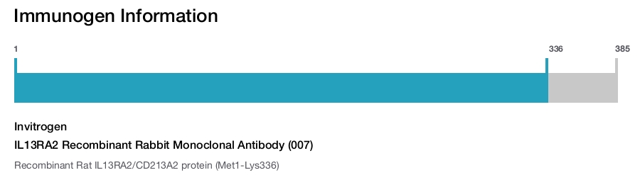 IL13RA2 Recombinant Rabbit Monoclonal Antibody (007)