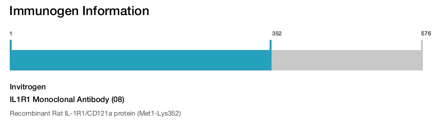IL1R1 Monoclonal Antibody (08)