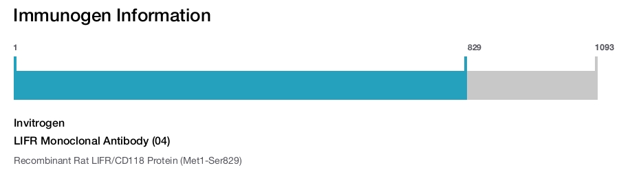 LIFR Monoclonal Antibody (04)