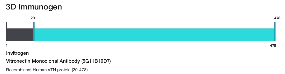 Vitronectin Monoclonal Antibody (5G11B10D7)