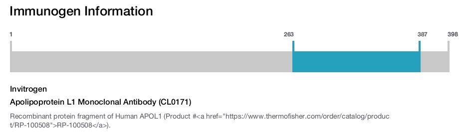 Apolipoprotein L1 Monoclonal Antibody (CL0171)