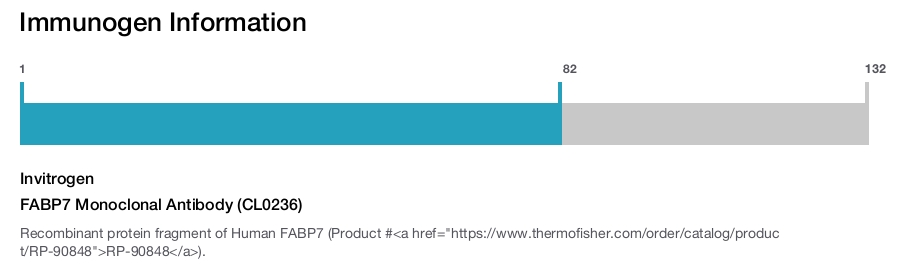 FABP7 Monoclonal Antibody (CL0236)