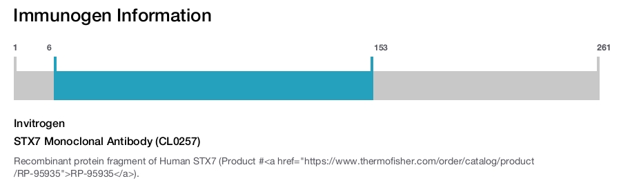 STX7 Monoclonal Antibody (CL0257)