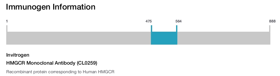 HMGCR Monoclonal Antibody (CL0259)