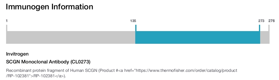 SCGN Monoclonal Antibody (CL0273)