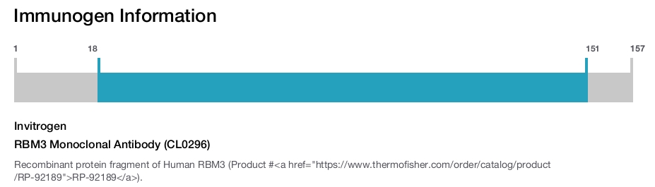 RBM3 Monoclonal Antibody (CL0296)