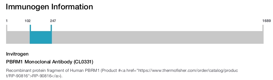 PBRM1 Monoclonal Antibody (CL0331)