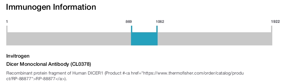 Dicer Monoclonal Antibody (CL0378)