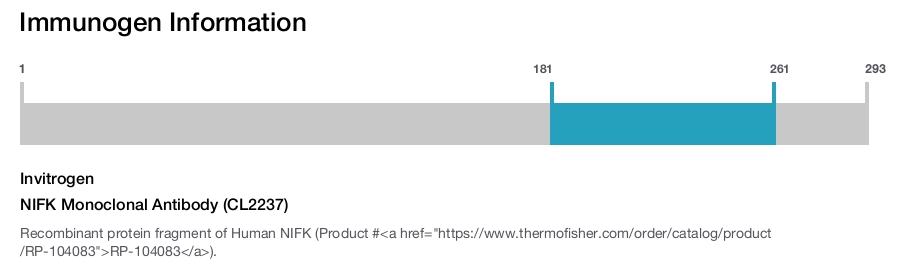 NIFK Monoclonal Antibody (CL2237)