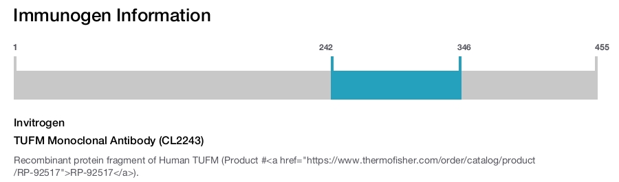 TUFM Monoclonal Antibody (CL2243)