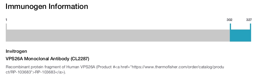 VPS26A Monoclonal Antibody (CL2287)