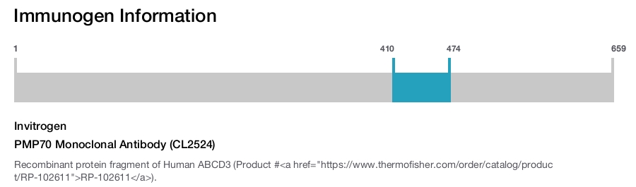 PMP70 Monoclonal Antibody (CL2524)