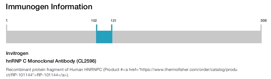 hnRNP C Monoclonal Antibody (CL2596)