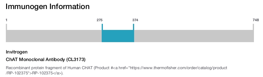 ChAT Monoclonal Antibody (CL3173)