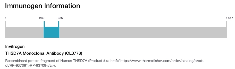 THSD7A Monoclonal Antibody (CL3778)