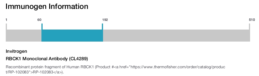 RBCK1 Monoclonal Antibody (CL4289)