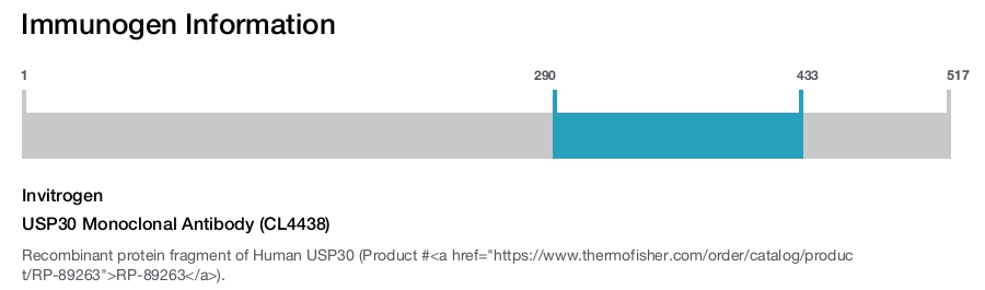 USP30 Monoclonal Antibody (CL4438)