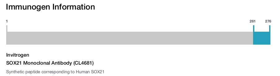 SOX21 Monoclonal Antibody (CL4681)