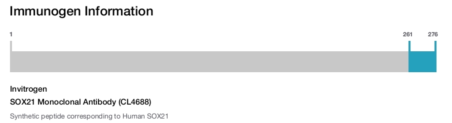 SOX21 Monoclonal Antibody (CL4688)