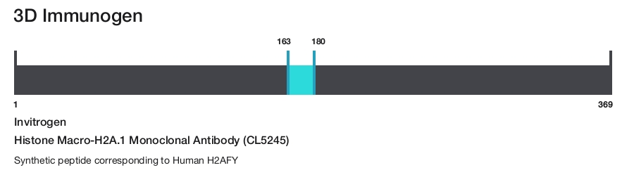 Histone Macro-H2A.1 Monoclonal Antibody (CL5245)