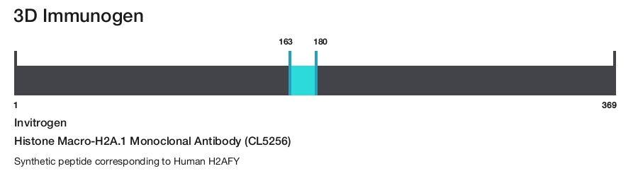 Histone Macro-H2A.1 Monoclonal Antibody (CL5256)