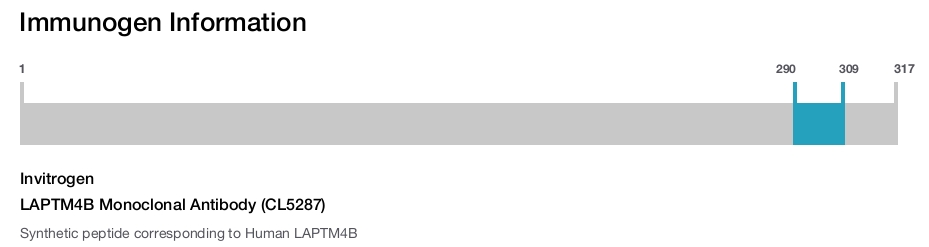 LAPTM4B Monoclonal Antibody (CL5287)