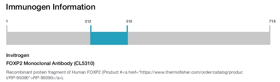 FOXP2 Monoclonal Antibody (CL5310)