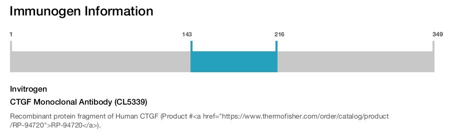 CTGF Monoclonal Antibody (CL5339)