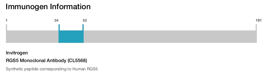 RGS5 Monoclonal Antibody (CL5568)