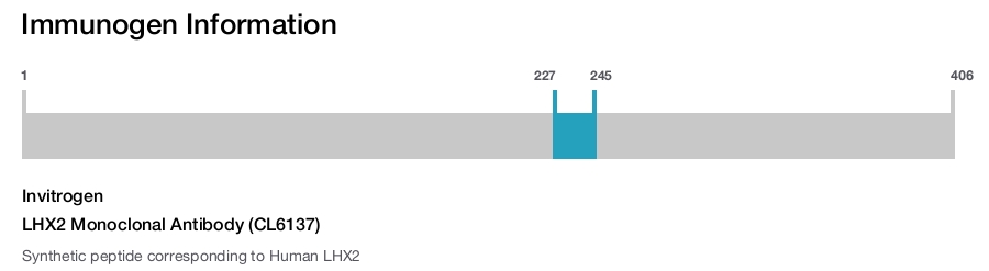 LHX2 Monoclonal Antibody (CL6137)