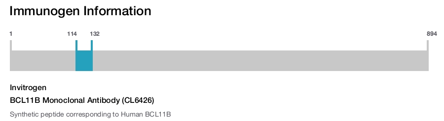 BCL11B Monoclonal Antibody (CL6426)