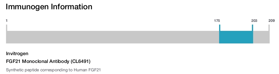 FGF21 Monoclonal Antibody (CL6491)