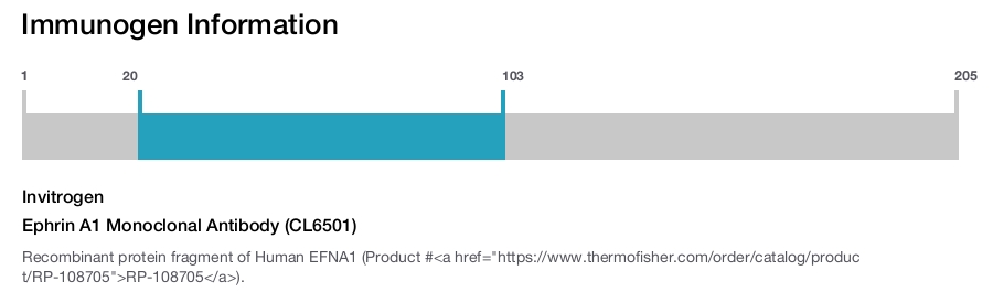Ephrin A1 Monoclonal Antibody (CL6501)