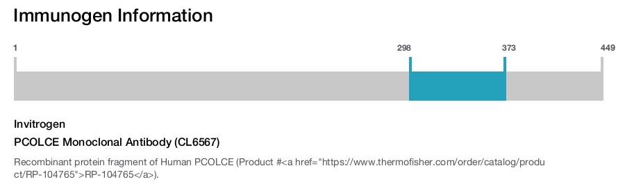 PCOLCE Monoclonal Antibody (CL6567)