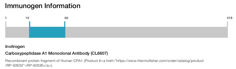 Carboxypeptidase A1 Monoclonal Antibody (CL6607)
