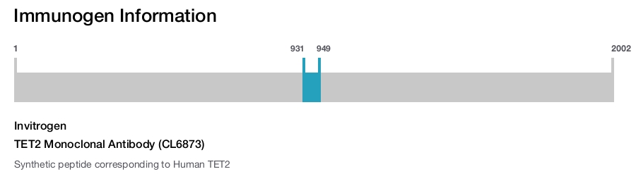 TET2 Monoclonal Antibody (CL6873)