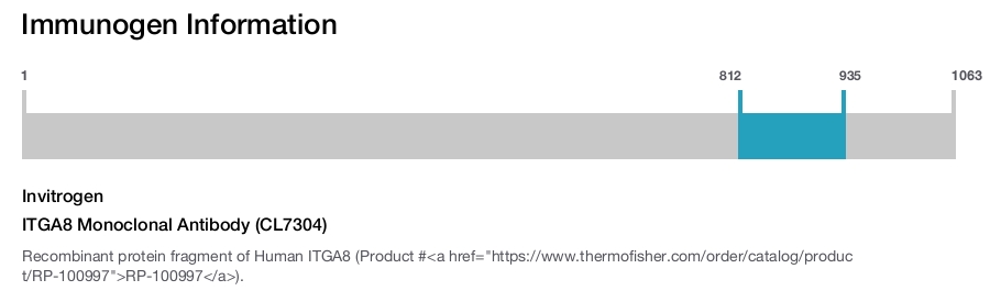 ITGA8 Monoclonal Antibody (CL7304)
