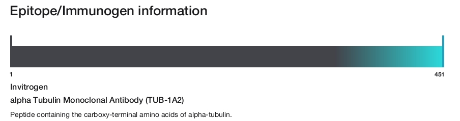 alpha Tubulin Monoclonal Antibody (TUB-1A2)