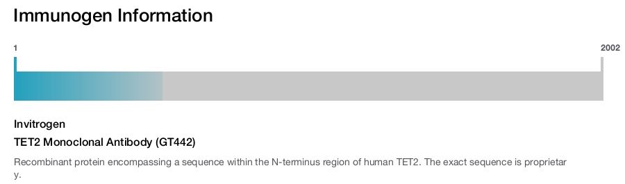 TET2 Monoclonal Antibody (GT442)