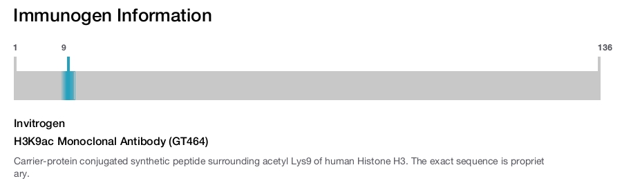 H3K9ac Monoclonal Antibody (GT464)