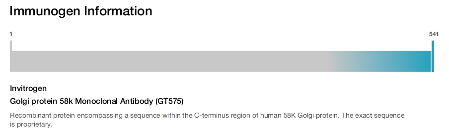 Golgi protein 58k Monoclonal Antibody (GT575)