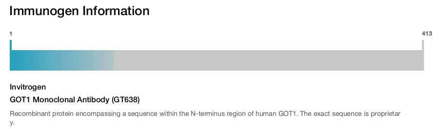 GOT1 Monoclonal Antibody (GT638)