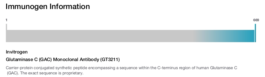 Glutaminase C (GAC) Monoclonal Antibody (GT3211)