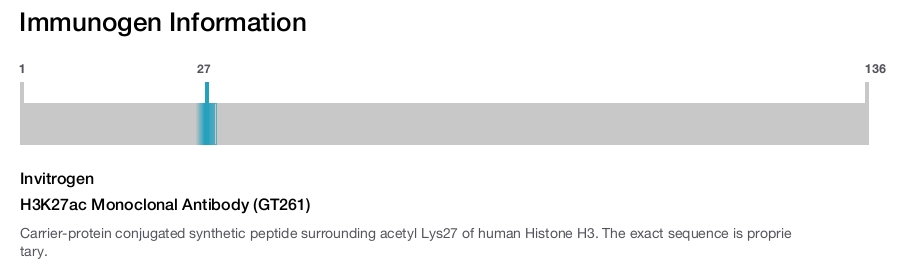 H3K27ac Monoclonal Antibody (GT261)