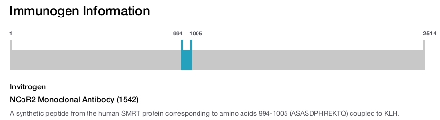NCoR2 Monoclonal Antibody (1542)