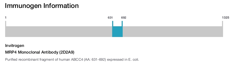 MRP4 Monoclonal Antibody (2D2A9)